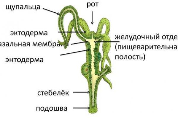 Ссылки омг омг мега